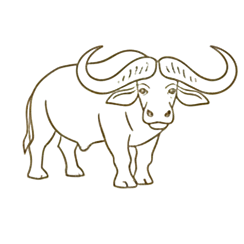 African Buffalo Icon