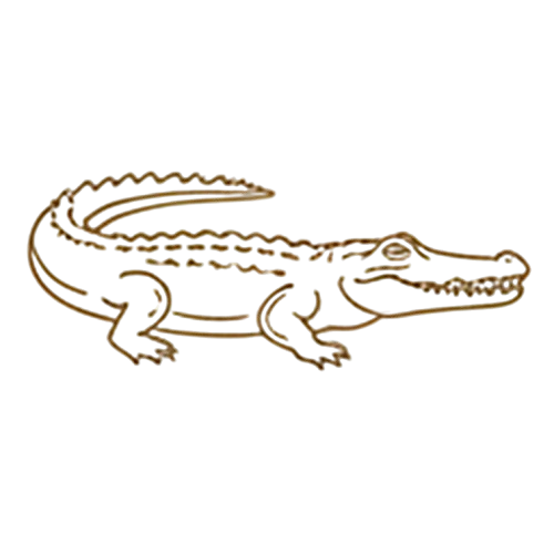 Nile Crocodile Icon