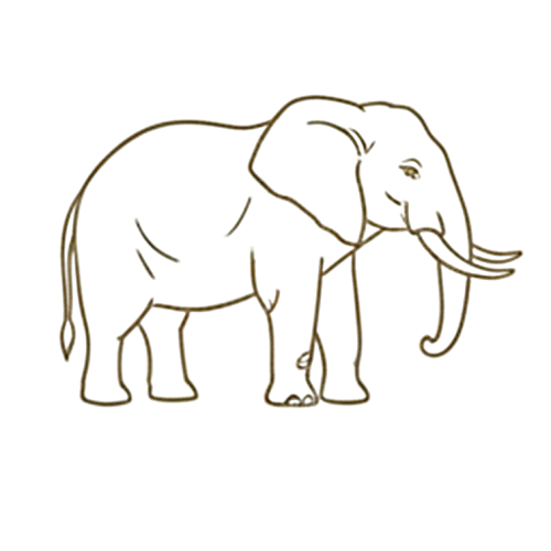 African Elephant Icon