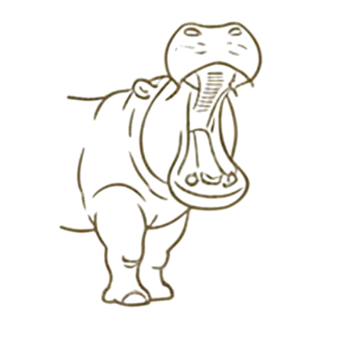 hippopotamus Icon
