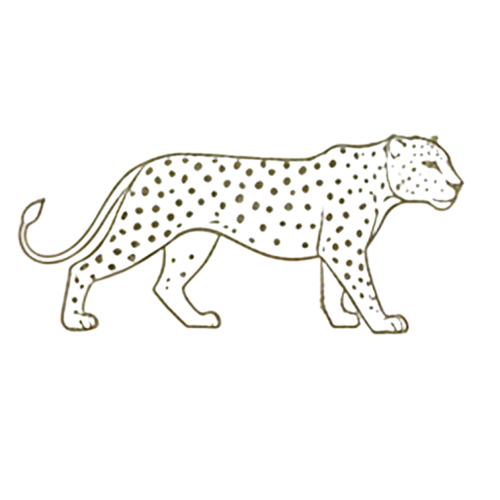 Leopard Icon