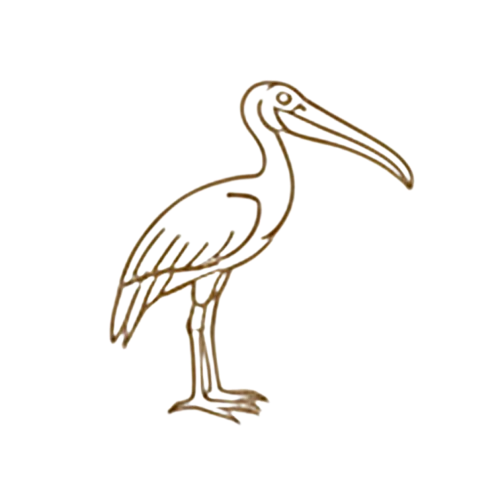 Shoebill Icon