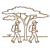 Mountain Gorilla Icon