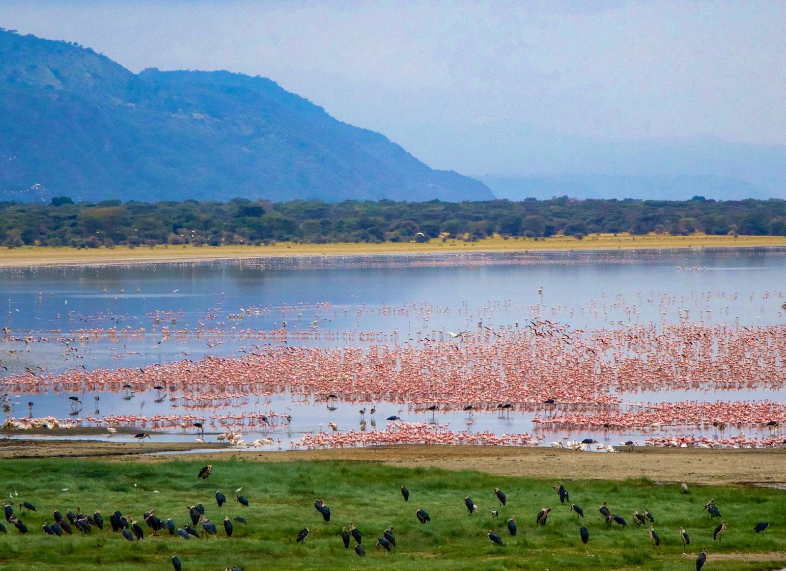 Lake Manyara