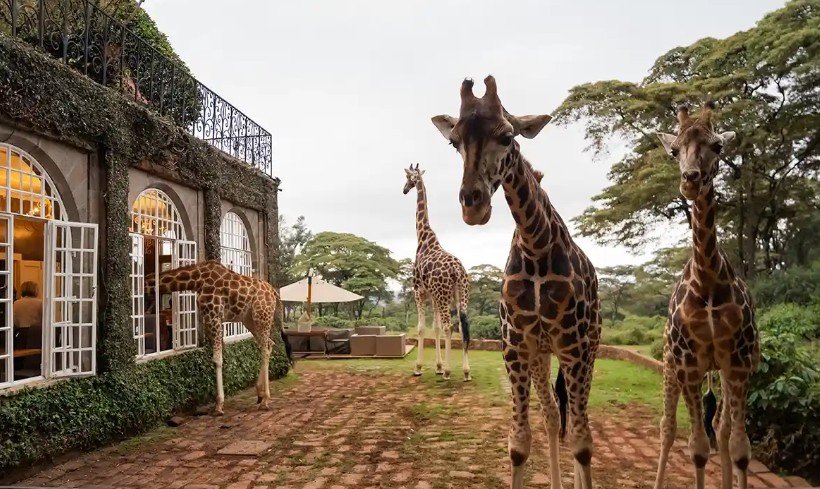 Giraffe Manor - Nairobi, Kenya